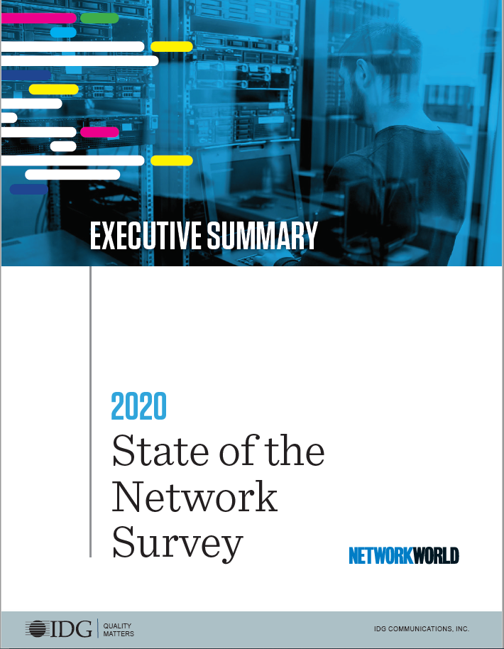 2020 Executive Summary cover